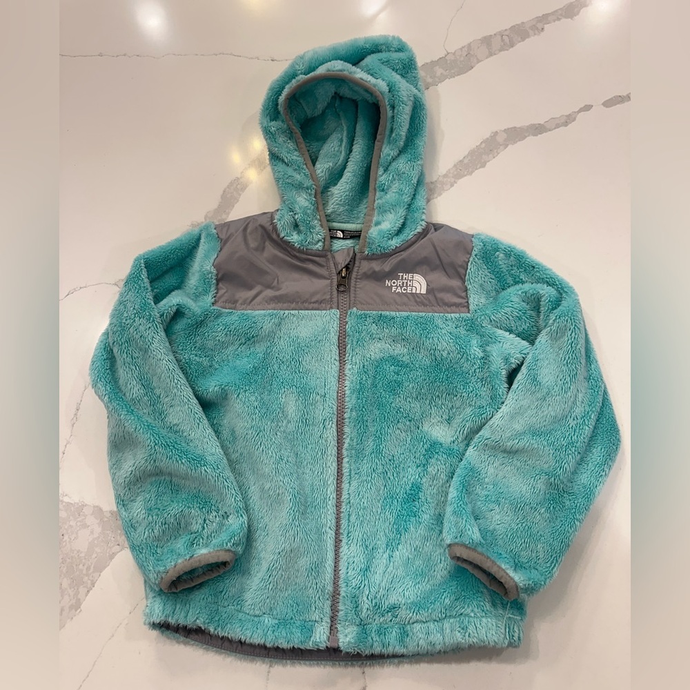 The North Face Aqua Fleece Osito Toddler Jacket